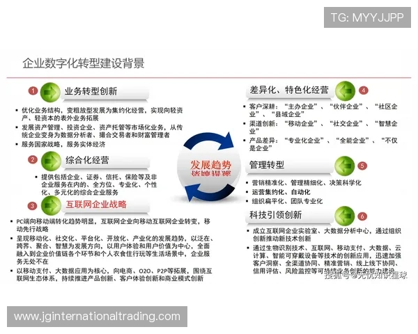 必赢数据助力企业数字化转型实现高效管理与智能决策